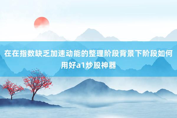 在在指数缺乏加速动能的整理阶段背景下阶段如何用好a1炒股神器
