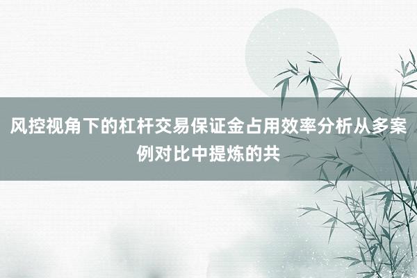 风控视角下的杠杆交易保证金占用效率分析从多案例对比中提炼的共