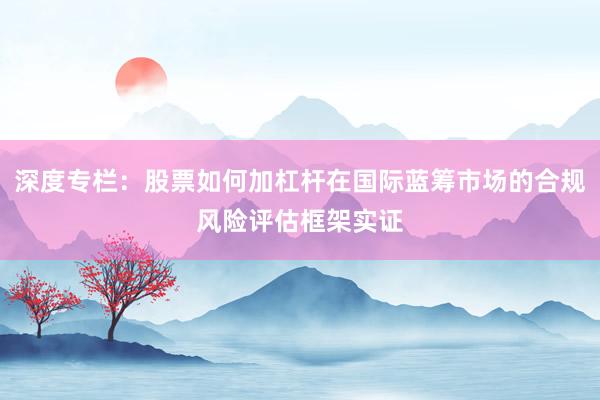 深度专栏：股票如何加杠杆在国际蓝筹市场的合规风险评估框架实证