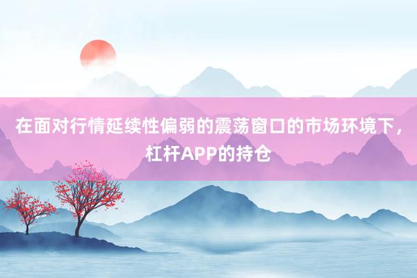 在面对行情延续性偏弱的震荡窗口的市场环境下，杠杆APP的持仓