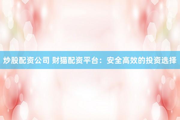 炒股配资公司 财猫配资平台：安全高效的投资选择