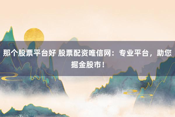 那个股票平台好 股票配资唯信网：专业平台，助您掘金股市！