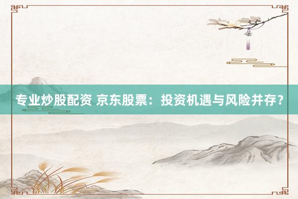 专业炒股配资 京东股票：投资机遇与风险并存？