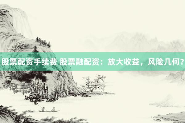 股票配资手续费 股票融配资：放大收益，风险几何？