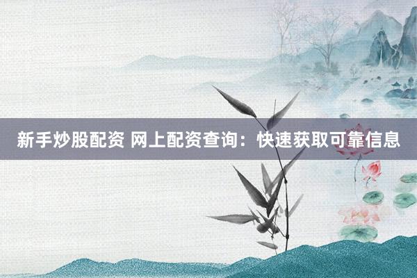 新手炒股配资 网上配资查询：快速获取可靠信息